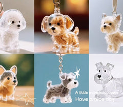 Pethair Memory Breychain, w którym żyje i miłość