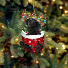 🐶 (2 szt.) Urocza świąteczna ozdoba w kształcie psa w skarpetce🎄