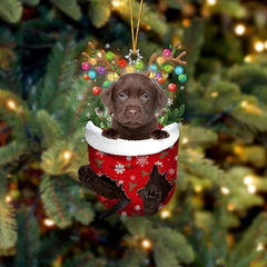 🐶 (2 szt.) Urocza świąteczna ozdoba w kształcie psa w skarpetce🎄