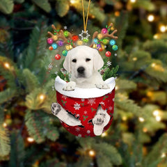 🐶 (2 szt.) Urocza świąteczna ozdoba w kształcie psa w skarpetce🎄