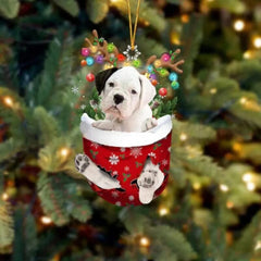 🐶 (2 szt.) Urocza świąteczna ozdoba w kształcie psa w skarpetce🎄
