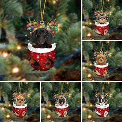 🐶 (2 szt.) Urocza świąteczna ozdoba w kształcie psa w skarpetce🎄