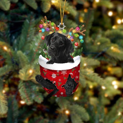 🐶 (2 szt.) Urocza świąteczna ozdoba w kształcie psa w skarpetce🎄